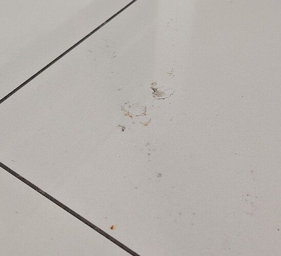 PXL_20260118_091959967